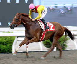 【高知・御畳瀬特別】不良馬場の決戦でサノノエスポが連勝決めた　３連単は１３万円超　単勝１・８倍のミトノオーは１０着