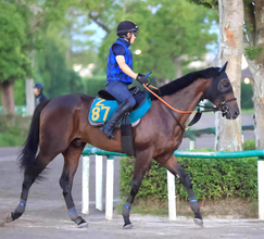 【ＰＯＧ】叔母にＧ１馬ハープスター！ウラノグラフィアは順調さアピール　宮田調教師「心肺機能自体はいいものを持っている」