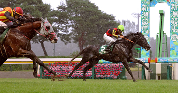 【新潟記念】３歳馬ゾロアストロがＧ１馬５頭を倒して重賞２勝目　宮田調教師は秋の盾取り挑戦示唆