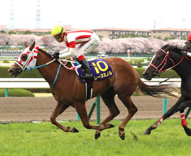 【ＰＯＧ】叔母は１７年桜花賞馬レーヌミノル　能力高いノーマンデーに茶木調教師「初戦から期待しています」