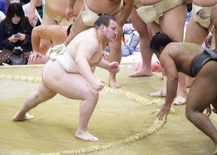 安青錦、ぶつかり稽古を再開　左足に足袋は履かず「感覚を大切にしたい」