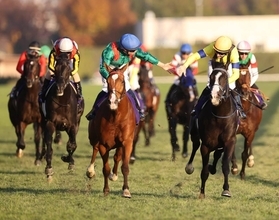 発馬で落馬→入線後に上位２頭も落馬→驚異のレコード決着ジャパンＣに衝撃広がる「大丈夫？」「なんかえらい事」