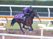 【朝日杯フューチュリティステークス】馬トク外厩情報…「外厩の勢い」が勝負の鍵　有力馬が条件一致