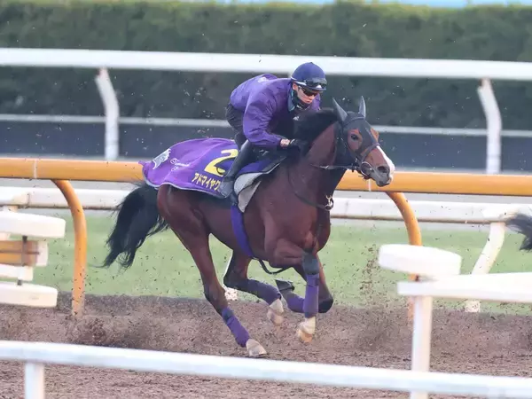 【朝日杯フューチュリティステークス】馬トク外厩情報…「外厩の勢い」が勝負の鍵　有力馬が条件一致