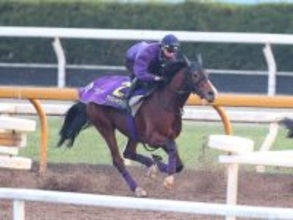 【朝日杯フューチュリティステークス】馬トク外厩情報…「外厩の勢い」が勝負の鍵　有力馬が条件一致