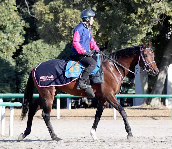 日曜中山競馬場の注目激走馬…中山１１Ｒ中山金杯・Ｇ３