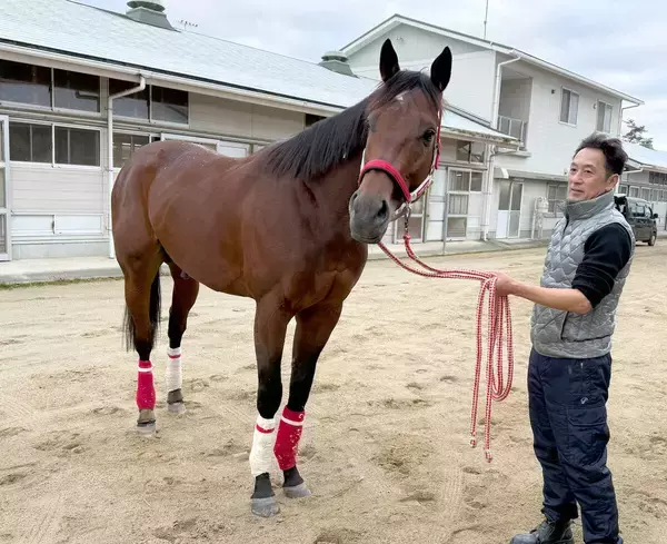 年度代表馬フォーエバーヤングがサウジＣ連覇へ帰厩後初時計　陣営「さらに進化している」