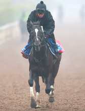 【京都記念】菊花賞２着馬エリキングは５枠６番に決定　骨折明けヘデントールは１枠１番