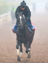 【京都記念】菊花賞２着馬エリキングは５枠６番に決定　骨折明けヘデントールは１枠１番