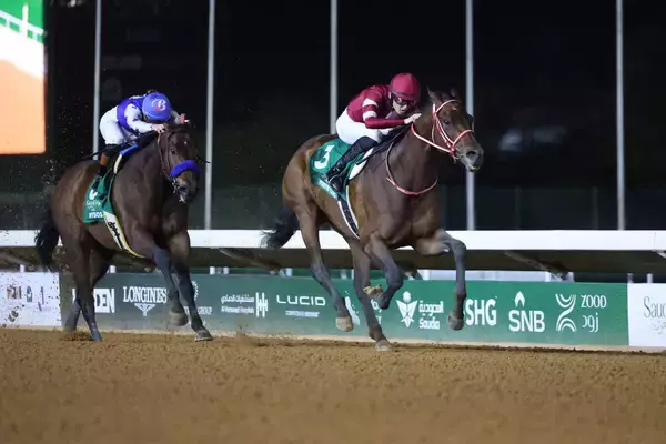 フォーエバーヤングの総獲得賞金４５億円超ってどんなもん？　種付けやトレセン預託の費用に換算するとすごい！