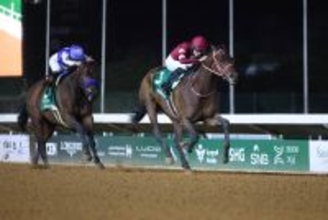 フォーエバーヤングの総獲得賞金４５億円超ってどんなもん？　種付けやトレセン預託の費用に換算するとすごい！