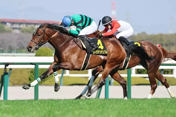 【阪神８Ｒ・すみれＳ】６番人気のラージアンサンブルが勝利　岩田望来騎手「外を回っても分が悪いので、内を狙った」