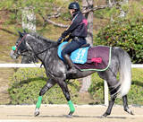 「【注目馬動向】ビッグシーザーは高松宮記念へ　定年解散した西園正厩舎から杉山晴厩舎へ転厩」の画像1