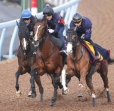 【チャーチルダウンズＣ】重賞連勝狙うサンダーストラックは３頭併せで悠々と最先着　陣営「いい意味で余白がある」