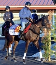 【桜花賞】ルールザウェイヴは坂路で軽快に併せ馬　宮田調教師「オーバーワークにならない程度に」