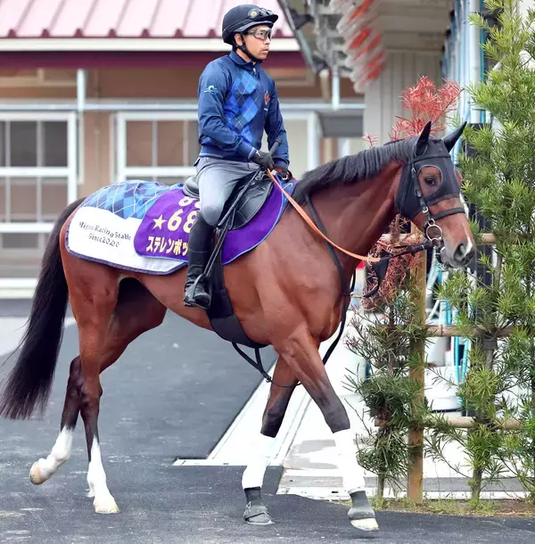 【エプソムＣ】桜花賞馬に復活の気配　ステレンボッシュが転厩２戦目で結果を出すか　陣営「毛づやが良くなった」