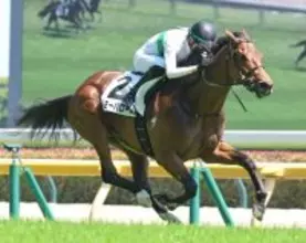 Ｇ１並みの時計に衝撃！１分３１秒台での圧勝劇に「異次元やろこれ」「ＮＨＫマイル出ても…」　東京７Ｒのトミーバローズ