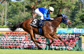 【新潟８Ｒ・ダリア賞】「あまり良い競馬じゃなかったですね…」手塚久調教師は課題挙げるもルークウォームがレコード勝ち　