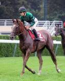 「【紫苑Ｓ】重馬場で最速末脚のサムシングスイートが秋華賞切符つかむ２着　団野大成騎手「本番でも」」の画像1