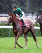 【紫苑Ｓ】重馬場で最速末脚のサムシングスイートが秋華賞切符つかむ２着　団野大成騎手「本番でも」