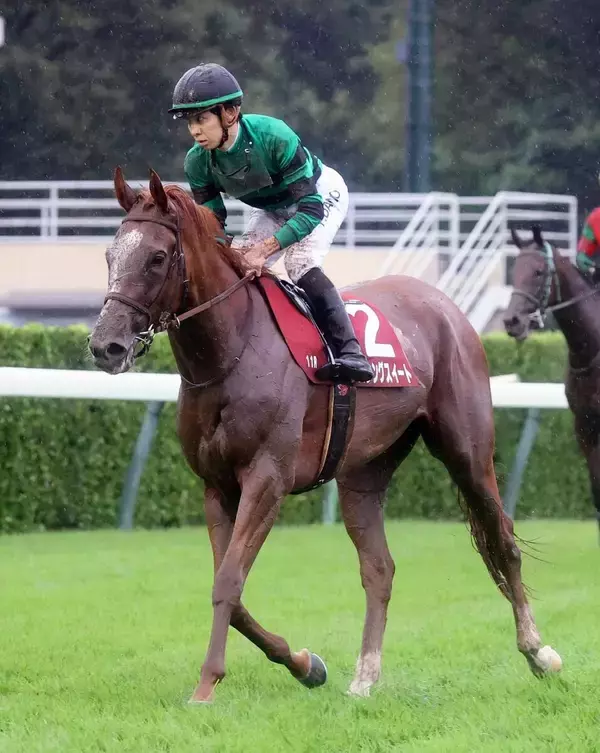 【紫苑Ｓ】重馬場で最速末脚のサムシングスイートが秋華賞切符つかむ２着　団野大成騎手「本番でも」