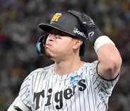 【阪神】痛恨の完封負け＆佐藤輝明にアクシデントか…自打球直撃後の守備で交代　アドバンテージ含めて１勝１敗　１～４番が無安打　ＣＳ最終ステージは６連勝でストップ