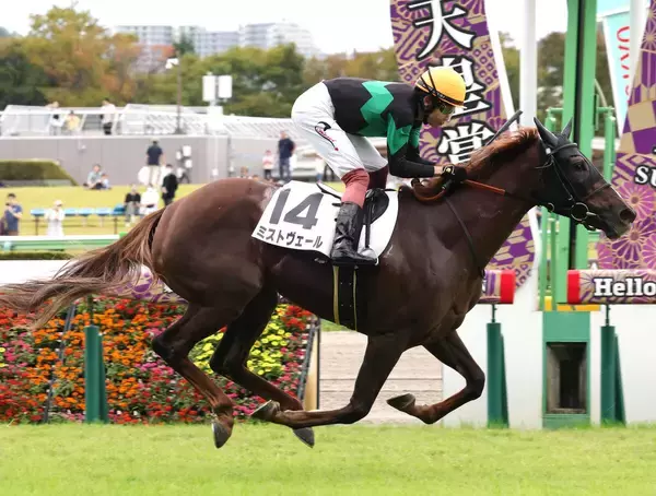 【東京６Ｒ】操作性の良さ生かしたミストヴェールがデビュー勝ち　三浦皇成騎手「人に対して従順」
