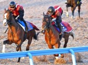 【朝日杯ＦＳ】動き最高評価Ｇ！　エコロアルバは微調整でも好時計　田村調教師も「時計は出ちゃいますね」と手応え