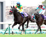 「【中山大障害】「アーとかキャーとかは…」草野太郎騎手は冷静だった！？エコロデュエルを春秋ＪＧ１連覇へ導く」の画像1
