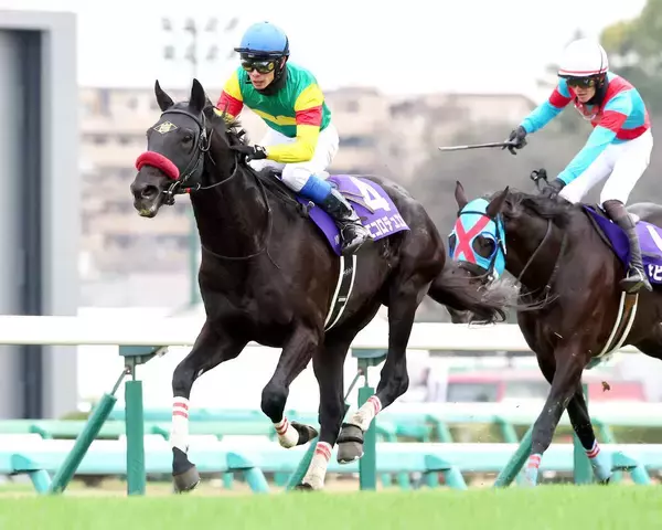 【中山大障害】「アーとかキャーとかは…」草野太郎騎手は冷静だった！？エコロデュエルを春秋ＪＧ１連覇へ導く