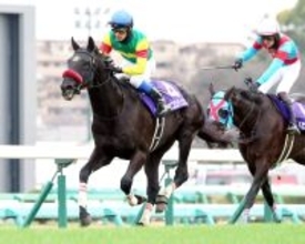【中山大障害】オジュウチョウサン以来の春秋ＪＧ１連覇　エコロデュエルが１番人気に応えて勝利　
