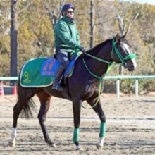 【プロキオンＳ】重賞２勝目狙うブライアンセンス　フェブラリーＳへの足がかりをつかめるか