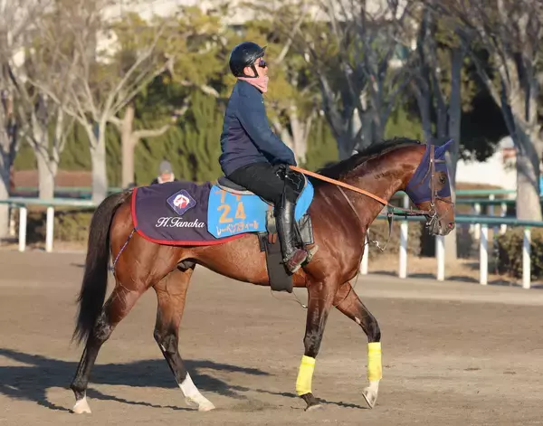 【中山記念】レーベンスティールは舞台替わり歓迎　田中博康調教師「しっかり仕上がった状態で使いたい」