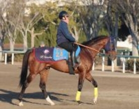 【中山記念】レーベンスティールは舞台替わり歓迎　田中博康調教師「しっかり仕上がった状態で使いたい」