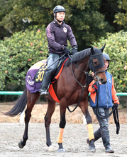 【報知杯弥生賞】コース経験はメンバー１のステラスペース　不良馬場を問題にせず「前進気勢が出てきた」と武藤調教師