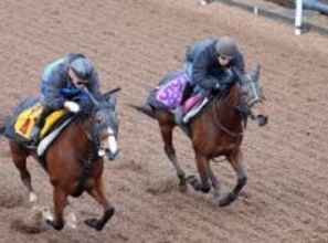 【報知杯ＦＲ】ショウナンカリス、阪神ＪＦ７着からの巻き返しへ水分を含んだ馬場を力強く駆け上がった