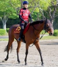 【注目馬動向】ヴィクトリアＭ６着のニシノティアモ　秋はエリザベス女王杯が大目標　西山茂行オーナーがブログで明かす