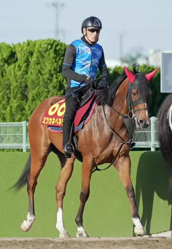 【オークス】スイートピーＳ６着のミツカネベネラは精神面も馬体も成長　鈴木伸尋調教師「雰囲気は満点だね」