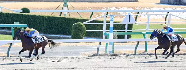 【中山３Ｒ・３歳新馬】「年末の締めも新年最初も…」大井の矢野貴之騎手がエアサロメを７馬身差圧勝に導く