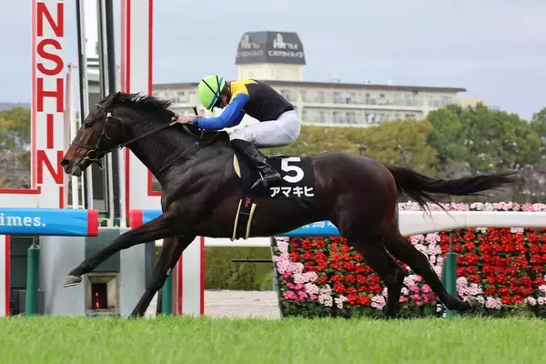 【阪神９Ｒ・松籟Ｓ】国枝調教師が最終週にアパパネの子アマキヒで勝利「ずっとやってきた血統で、金子さんだからね」