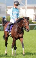 ２４年宝塚記念Ｖのブローザホーンが現役引退　今後は馬事公苑で乗馬に　吉岡調教師「いい余生を送ってほしい」