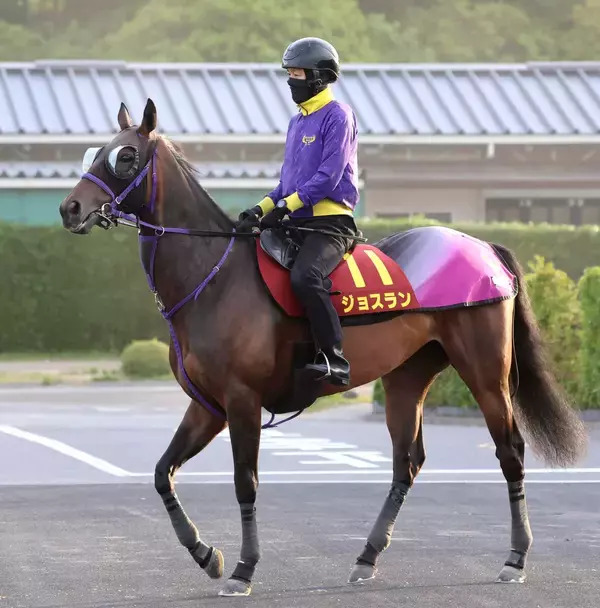 【ヴィクトリアＭ】兄はＧ１・３勝エフフォーリア　ジョスランＧ１初勝利へ鹿戸調教師「東京は合っている」