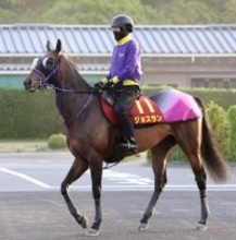 【ヴィクトリアＭ】兄はＧ１・３勝エフフォーリア　ジョスランＧ１初勝利へ鹿戸調教師「東京は合っている」