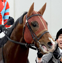 【函館スプリントＳ】１番人気レイピアは追い込み届かず３着まで　横山武史騎手「レースが流れなかったですね」