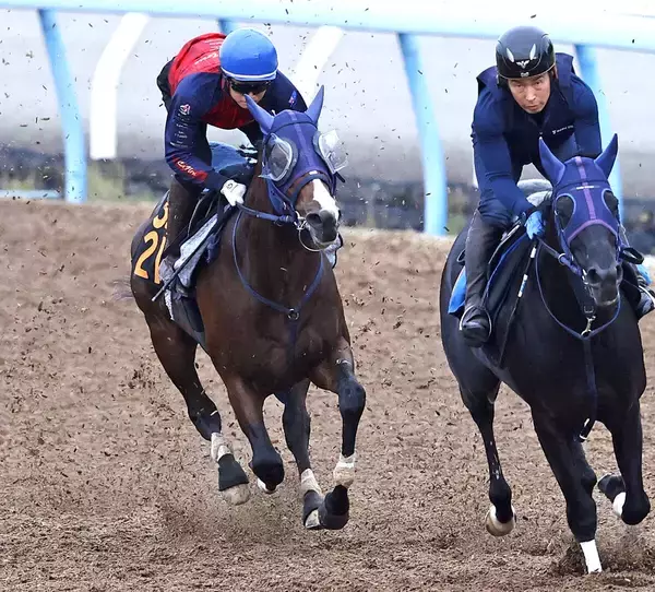 【ラジオＮＩＫＫＥＩ賞】ディールメーカーは軽快な脚取りで併入　大和田調教師「左右のバランスがしっかり取れていて上向いている」