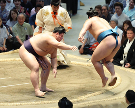 義ノ富士、連敗を３で止める　新三役で勝ち越しを懸ける残り２日へ闘志「全部勝たないと負け越すので」