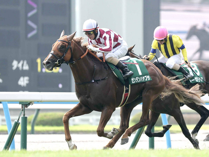 【注目馬動向】小倉記念で重賞初制覇のゼンダンハヤブサは引き続き酒井学騎手で札幌記念へ　橋田調教師「いい調整ができている」