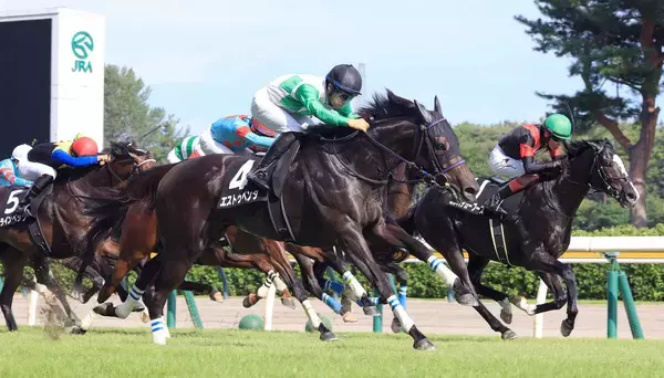 【新潟７Ｒ・関越Ｓ】エストゥペンダが待望のオープン初勝利　荻野極騎手「皆さんのおかげでいい走りをしてくれた」