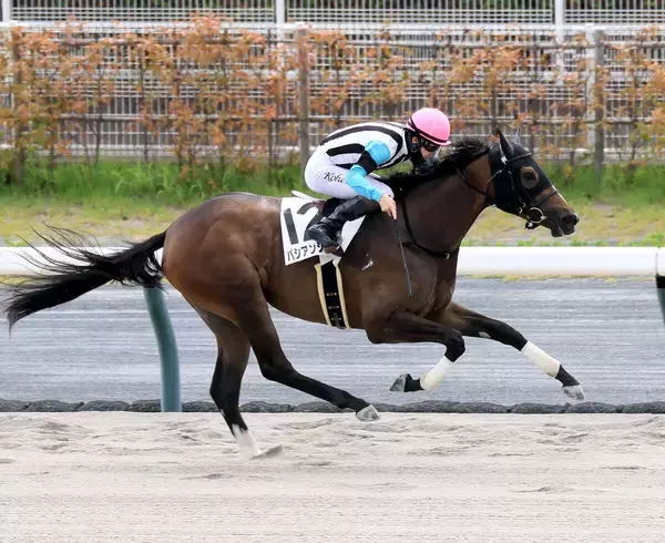 【中京２Ｒ・２歳新馬】パシアンジェンヌが逃げて上がり最速Ｖ　松山弘平騎手「強かったです」