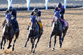【紫苑Ｓ・１週前】オークス２着で転厩初戦のドリームコアはラスト１０秒９　田中博調教師「１週前なので大きく動かすイメージ」